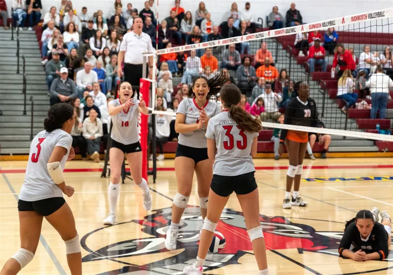 After a dream state championship run, Avonworth volleyball is getting used to being 'the hunted'