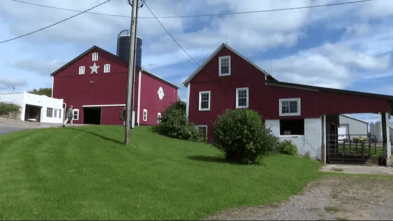 'Farm to stay:' Financial losses for small Pa farmers prompt rise in agrotourism