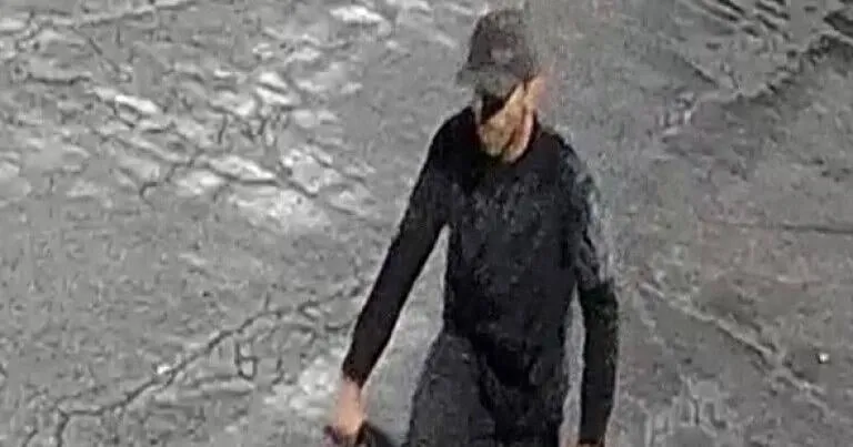 Carlisle Police search for bicyclist seen attempting to enter vehicles on East High Street