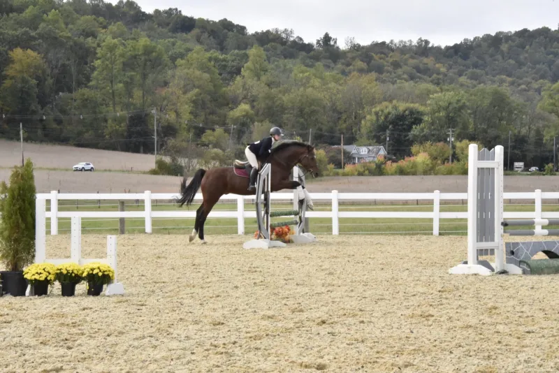 Eliza Taub leads Lehigh's club equestrian team