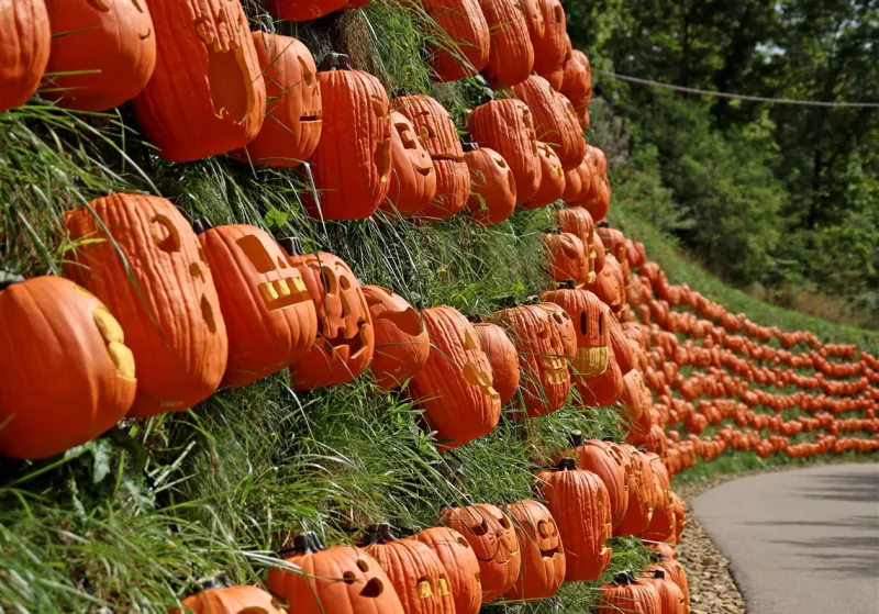 How did the Pittsburgh Pumpkin Guy and other artists carve 4,200 jack-o'-lanterns for the Pittsburgh Zoo?