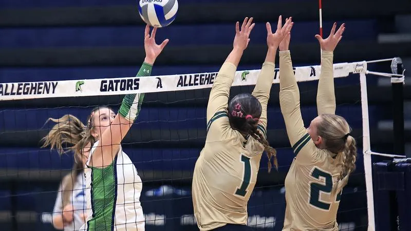 Gators Fall at Home to Barons