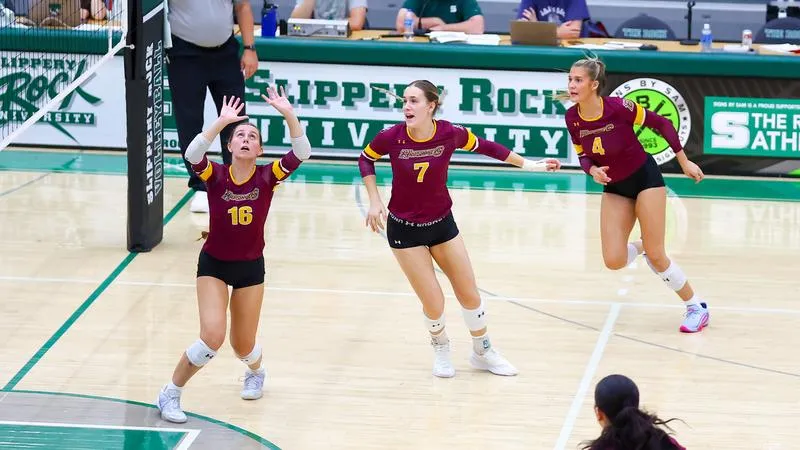 Volleyball Bested on the Road by Kutztown