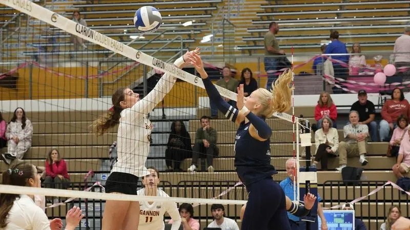 Volleyball Rallies to Take Five Set Win Over Gannon