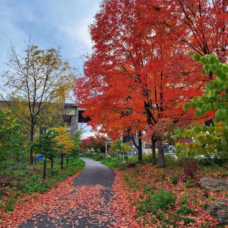 Pittsburgh set to extend Three Rivers Heritage Trail through new partnership