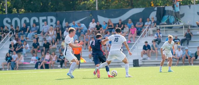 Wildcats Host New Haven Tuesday