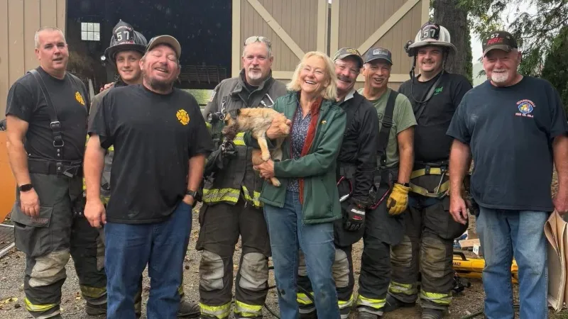 Dog wedged in UTV rescued by fire crew in Lancaster County