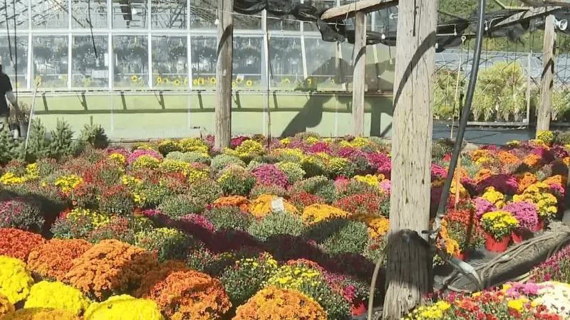 First widespread frost, possible freeze prompts action to protect plants