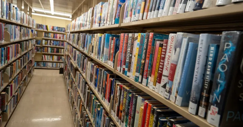 Book by a Rosemont College grad is the most banned in America