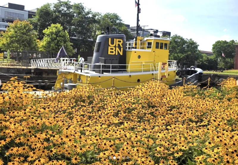 Immigration in Philly; Cheese 'vending' machine; Weekly gun violence brief | Morning Roundup