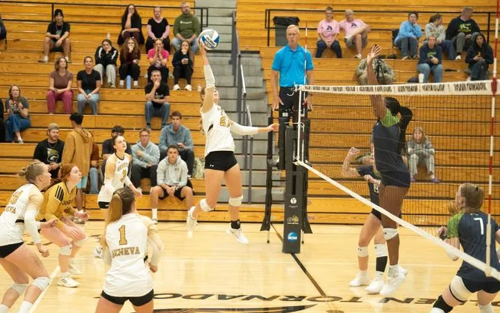 Big Night by Alexander not Enough for Women against Allegheny