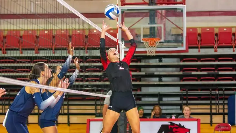 Volleyball bested on the road by Neumann