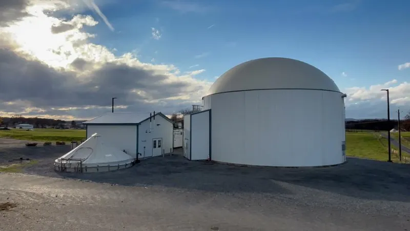 Mixing plant material with manure may be key to profitable biogas production