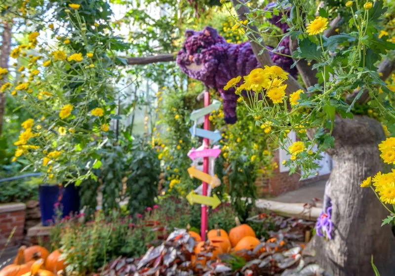 Alice and friends (is that you, Cheshire Cat?) crash the Phipps Fall Flower Show
