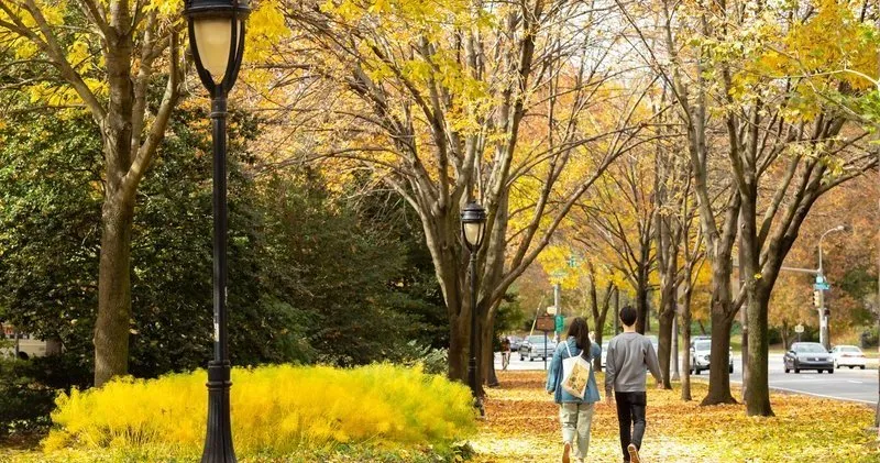 When will fall foliage hit peak? Here's the projections for Philly, the Poconos and South Jersey