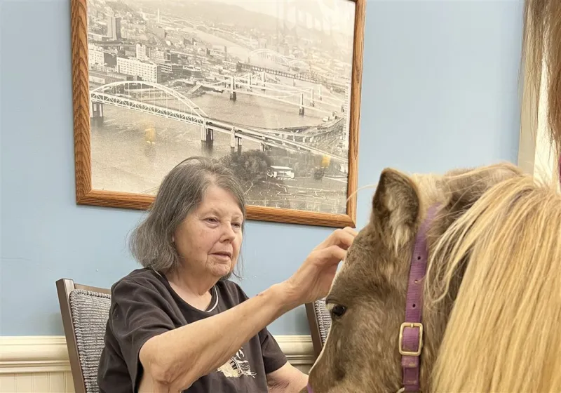 'A sense of purpose': Clinical studies point to the power of animal-assisted therapy for older adults