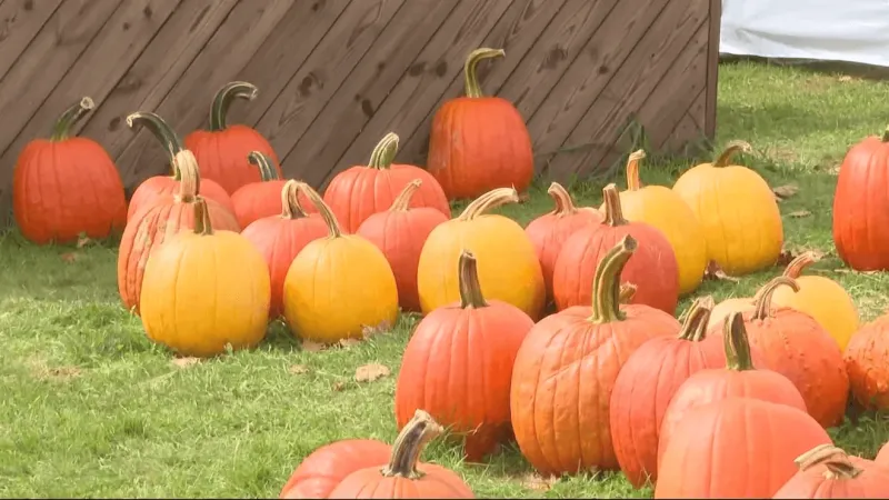 Centre Co. farm celebrates fall festivals, despite spring freeze
