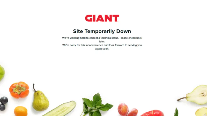 Giant's website temporarily down due to cyberattack: report