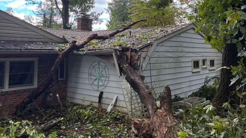 'I'm pretty lucky': York County homeowner reacts to tree that crushed roof