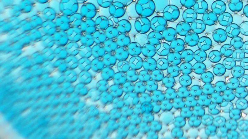 Tiny droplets can form soft networks for brain-inspired computing