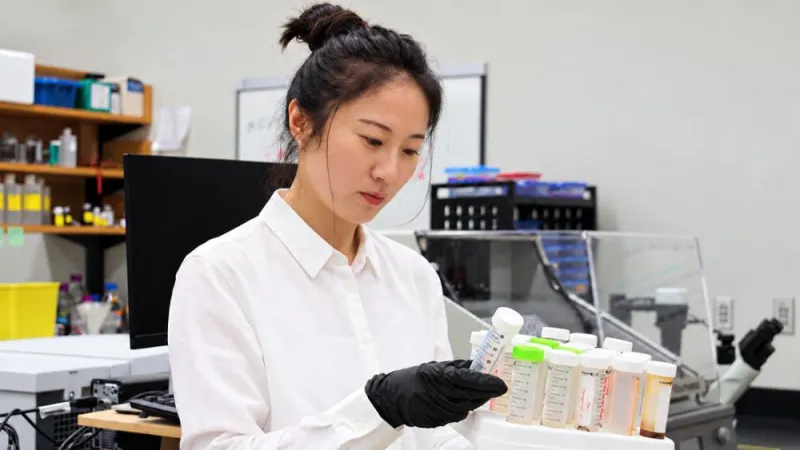 Modified lentil protein mimics fat in non-fat yogurt, researchers report