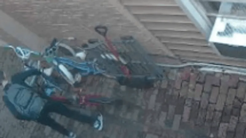 Doorbell camera catches person stealing scooter from Mechanicsburg home: police