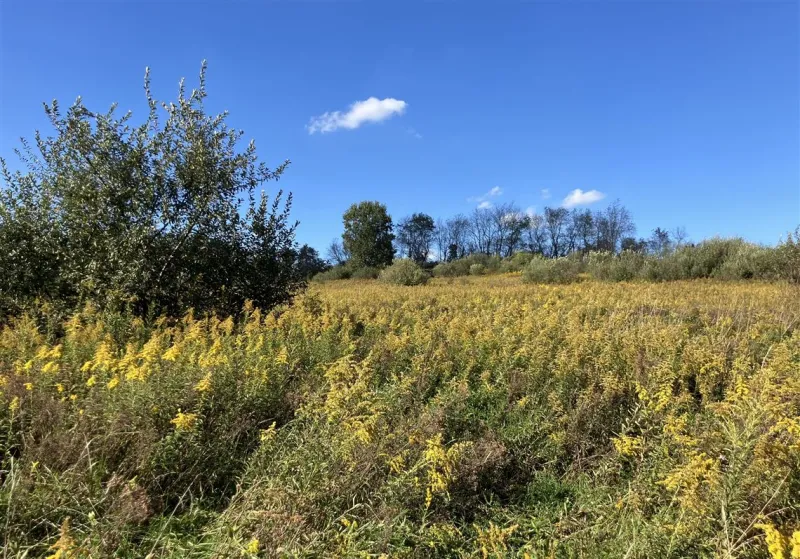 Brandon McGinley: The gift of fall