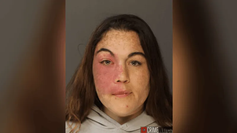 Lititz woman used alcohol to get children, 3-year-old, to go to sleep: police
