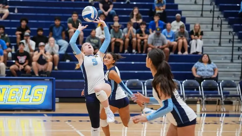 Wilkes Women's Volleyball Falls to Moravian 3-0