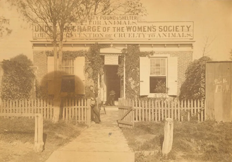 This female-led story deserves a spot in city's 52 Weeks of Firsts