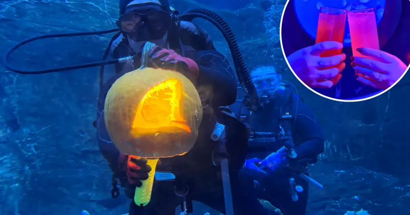 Adventure Aquarium hosting 21+ Halloween party with underwater pumpkin carving and themed cocktails