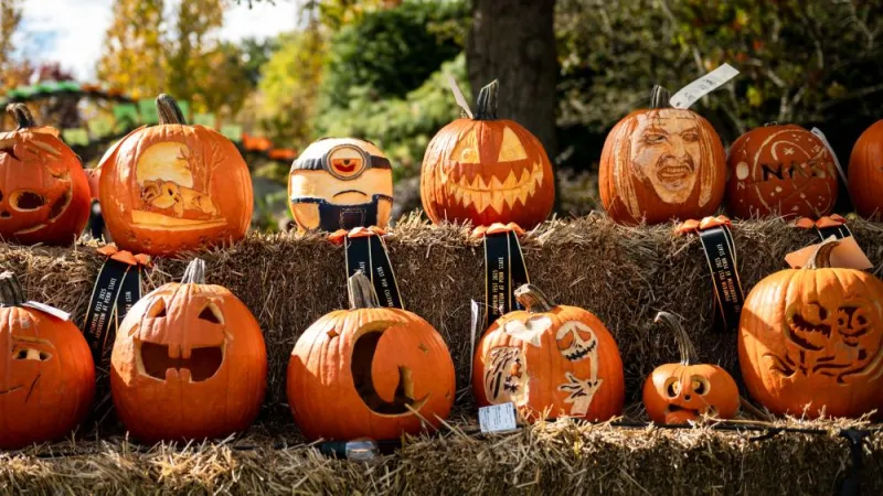 Things to Do at Penn State: Oct. 15-22