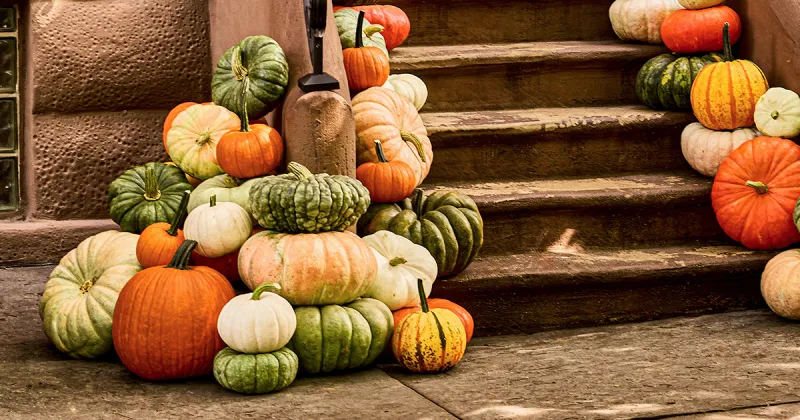Oh My Gourd! Main Line Pumpkins Will Dress Up Your Front Stoop for Fall