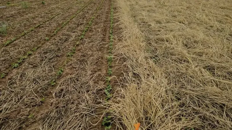Penn State's College of Ag Sciences launches Regenerative Agriculture Center