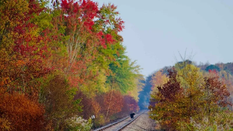Parts of Pennsylvania to see peak fall foliage amid weekend cooldown