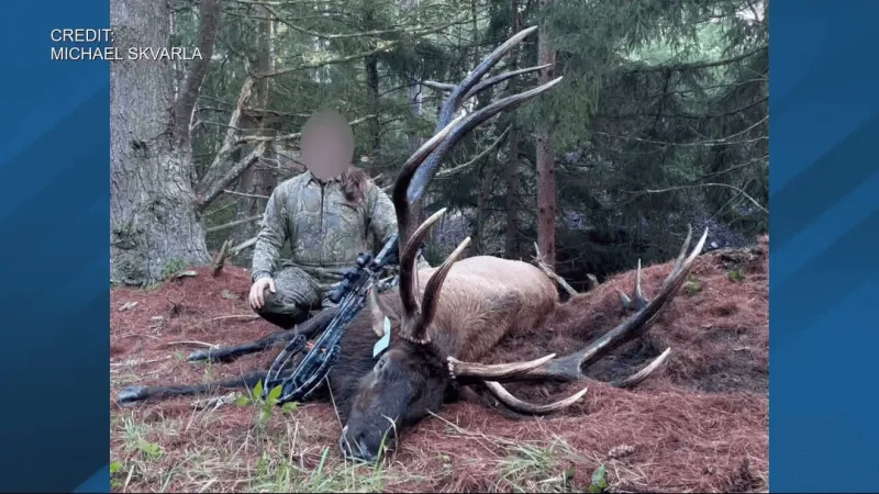Possible record Pa elk harvest questioned after two guides cited for alleged trespassing