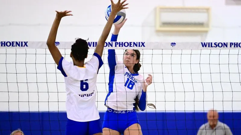 Bison Too Much For Phoenix