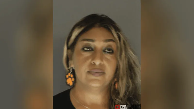 Woman accused of misusing 911 system at East Pennsboro school