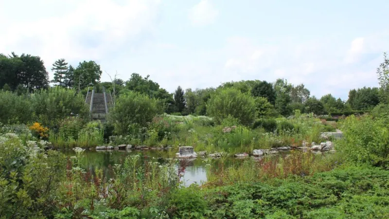 Penn State to have key exhibit at the 198th PHS Philadelphia Flower Show