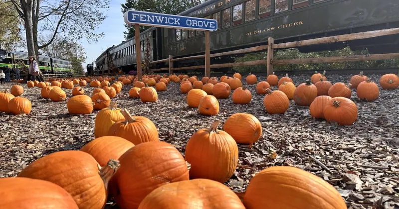 38 things to do in Philly, the suburbs and South Jersey this weekend, Oct. 23-25