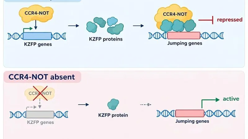 Keeping jumping genes in place: New role for protein complex discovered