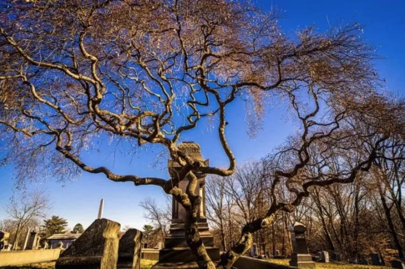Philly's past is still present: 16 haunted places to know about