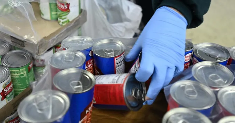 Shippensburg Produce and Outreach to distribute Thanksgiving food boxes