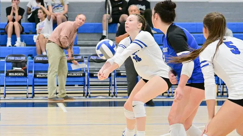 Wildcats Fall to Phoenix