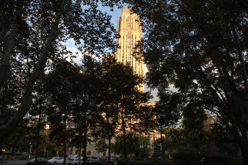 Fall foliage in Pittsburgh: Where can you see the colors of autumn 'come alive'?