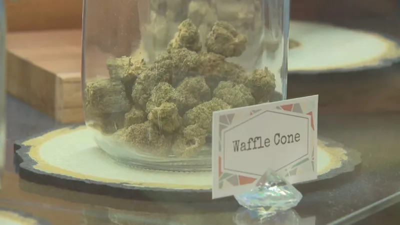 Rhode Island medical marijuana dispensary application rescinded by state