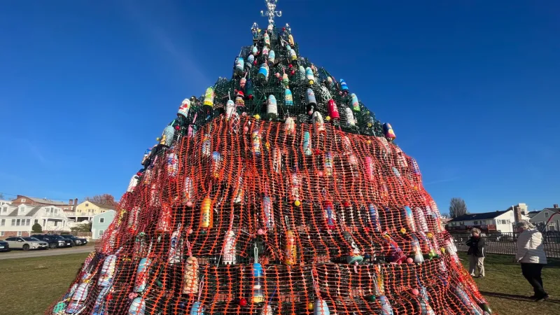 'Lobster Trap Tree' returns holiday cheer to Stonington