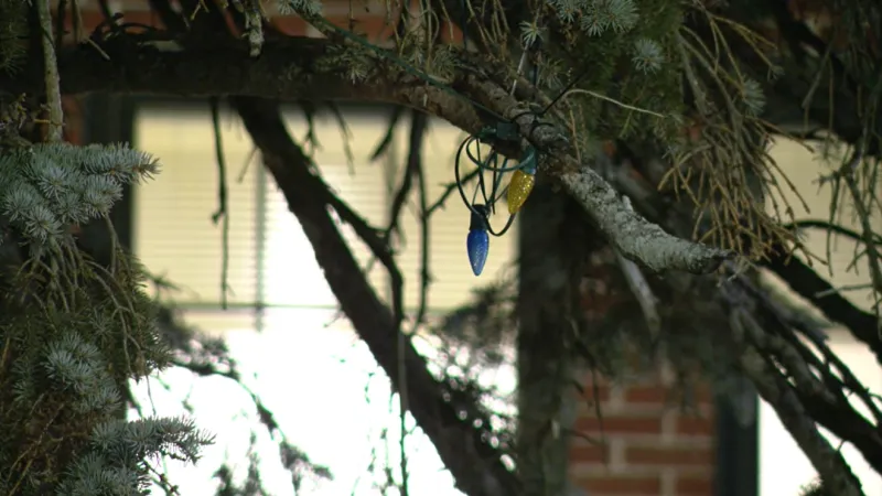 Annual Fairlawn Tree Lighting postponed