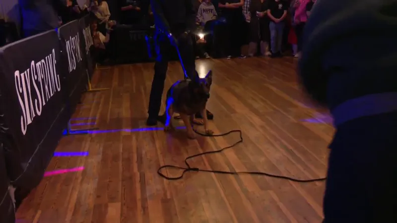 Patriot Place holds fundraiser for Massachusetts K-9s