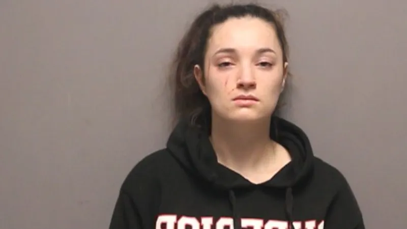 Warwick woman accused of slashing knife at a mother and daughter